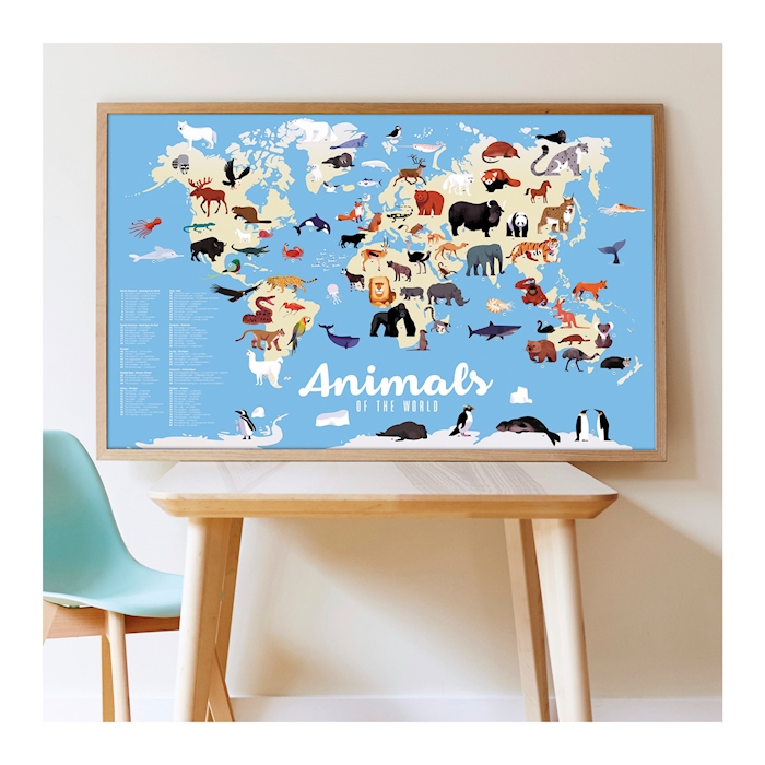 Discovery Sticker «Animaux du Monde»