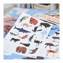 Discovery Sticker «Animaux du Monde»