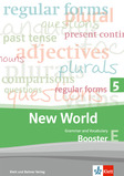 New World 5 Grammar and Vocabulary erweiterte Anforderungen