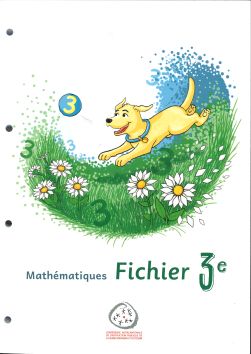 Mathématiques 3e fichier élève (CATARO 022404)