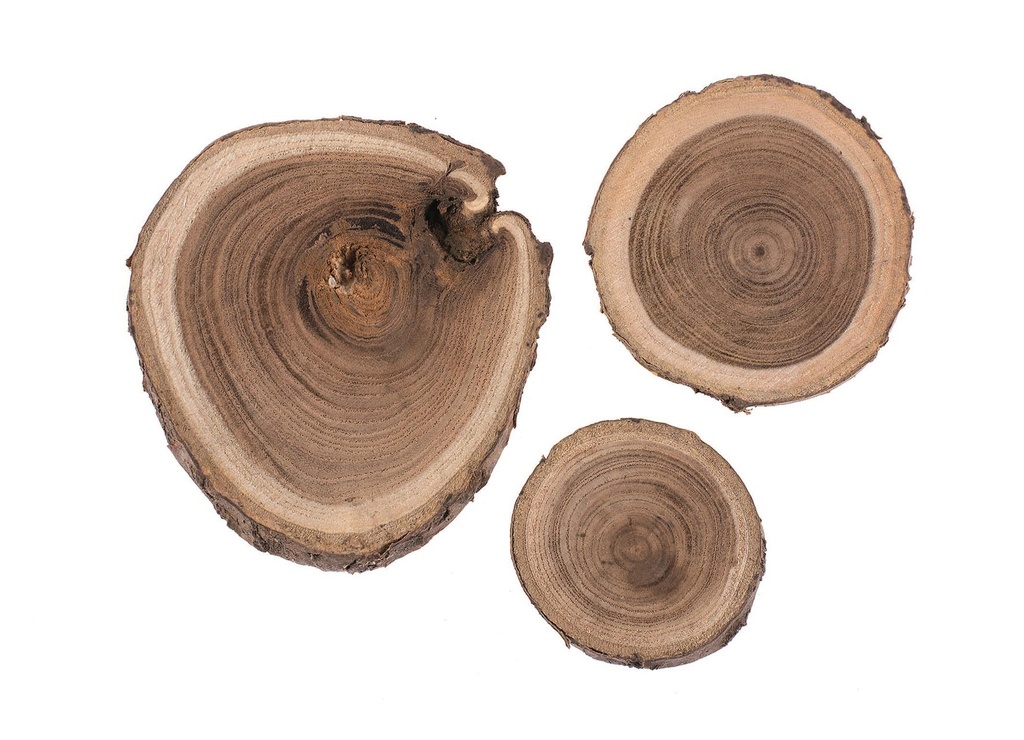 Holzscheiben ø 3-6 cm 80 gr