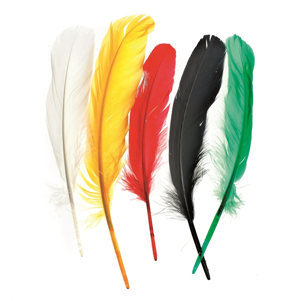 Plumes 16 cm env. 15 pièces