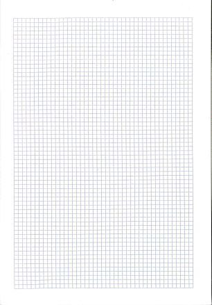 Cahier A4 quadrillé 4x4 mm margé 24 flles (10 pièces)