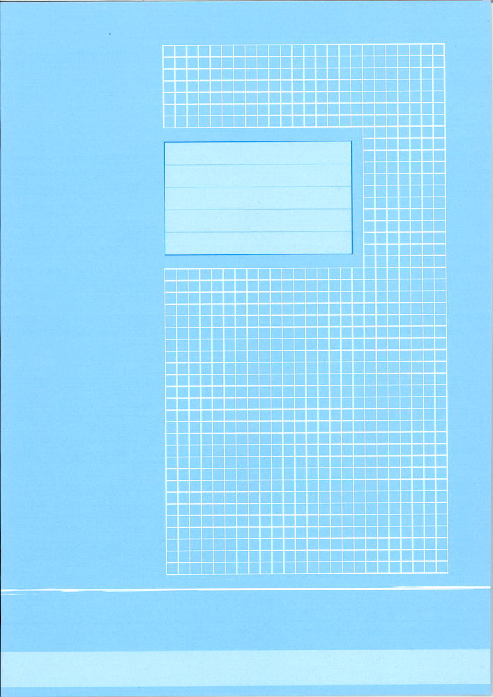 Cahier A4 quadrillé 5x5 mm margé (10 pièces)