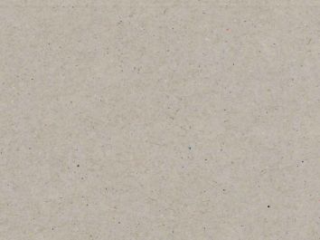 Carton gris  800 x 550 mm