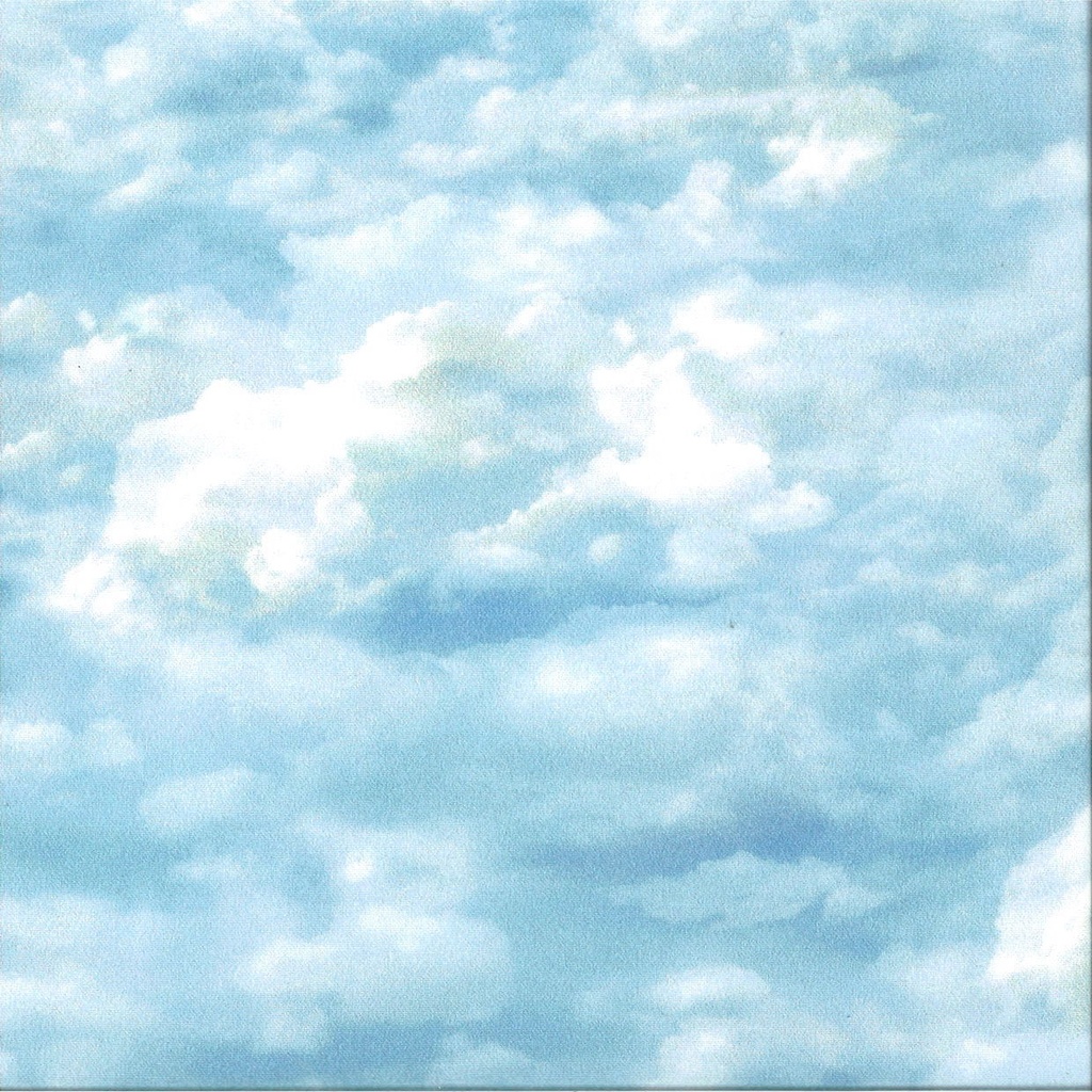 Coton imprimé largeur 115 cm  