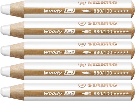 Crayon de couleur Stabilo Woody 3in1  boîte de 5 pièces