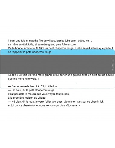 [69.702] Règle de lecture dyslexie M519  - double utilisation