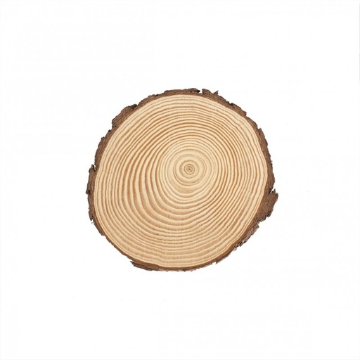 [81.144] Holzscheibe 15cm x 1.5cm Kiefernholz